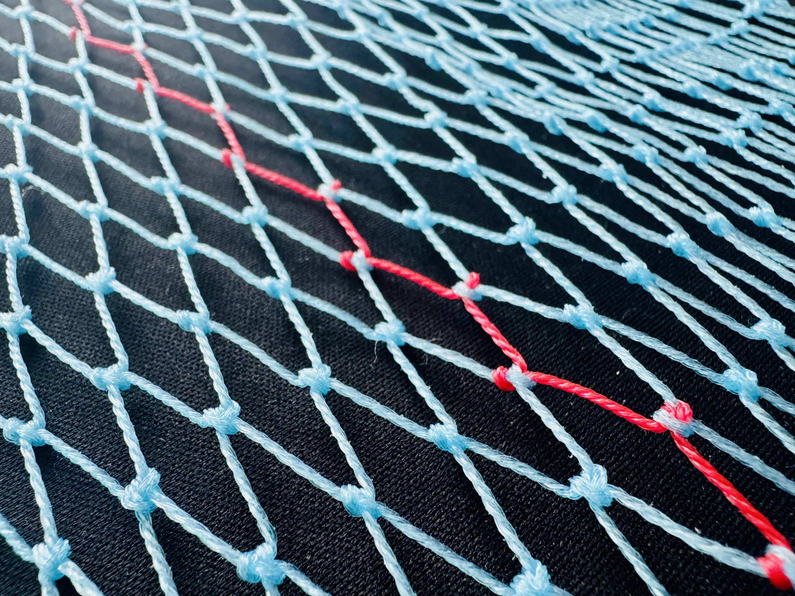 Fish / Agro / Bird / Sports Net