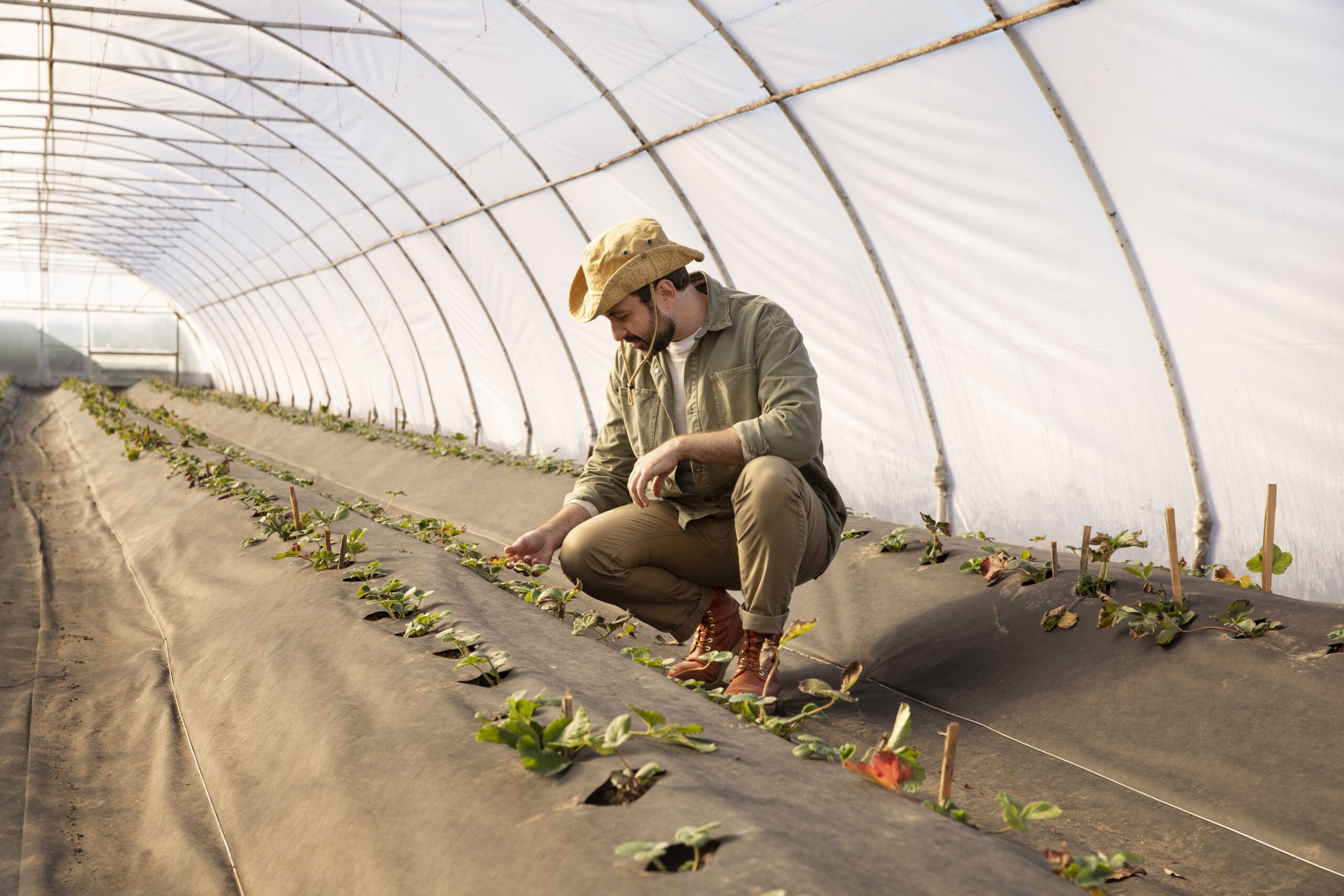 male-farmer-inspecting-plant-crops-his-farm